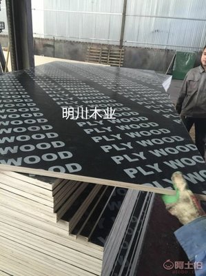 【厂家直销建筑模板 覆膜胶合板 建筑木模板 工程模板 18mm杨木芯 混凝土支撑】 - 产品库