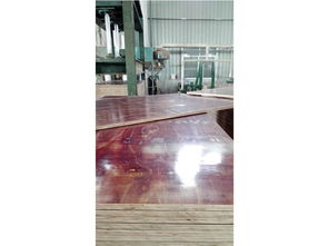 专业胶合板与全桉木苯酚面膜板 物超所值的建材选择及厂家供应优势